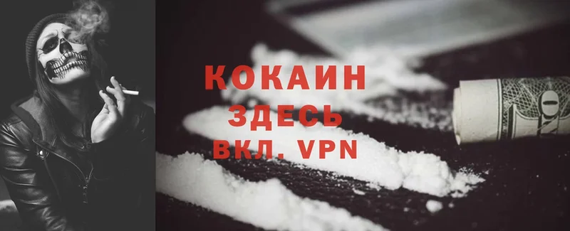 Cocaine FishScale  Красногорск 